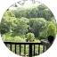 Jane Crewe profile picture